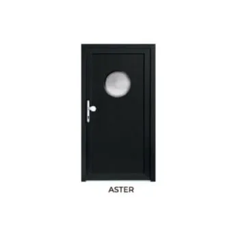 awidoor_garden_aster