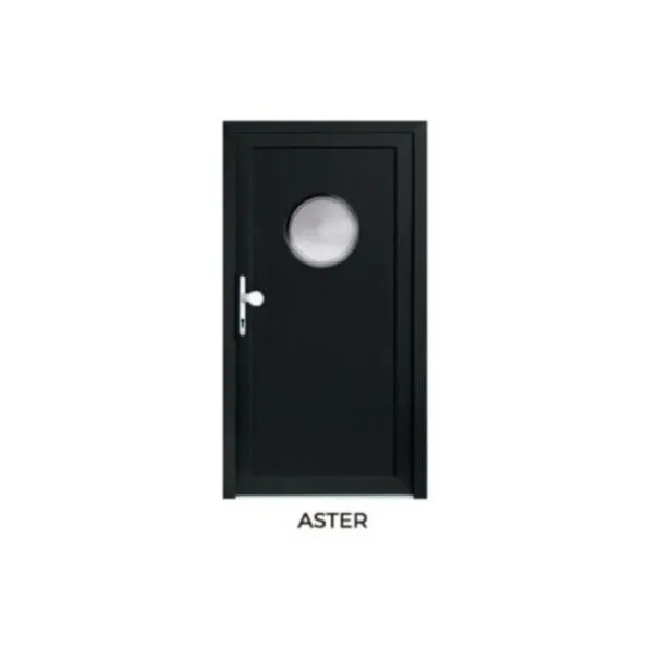 awidoor_garden_aster